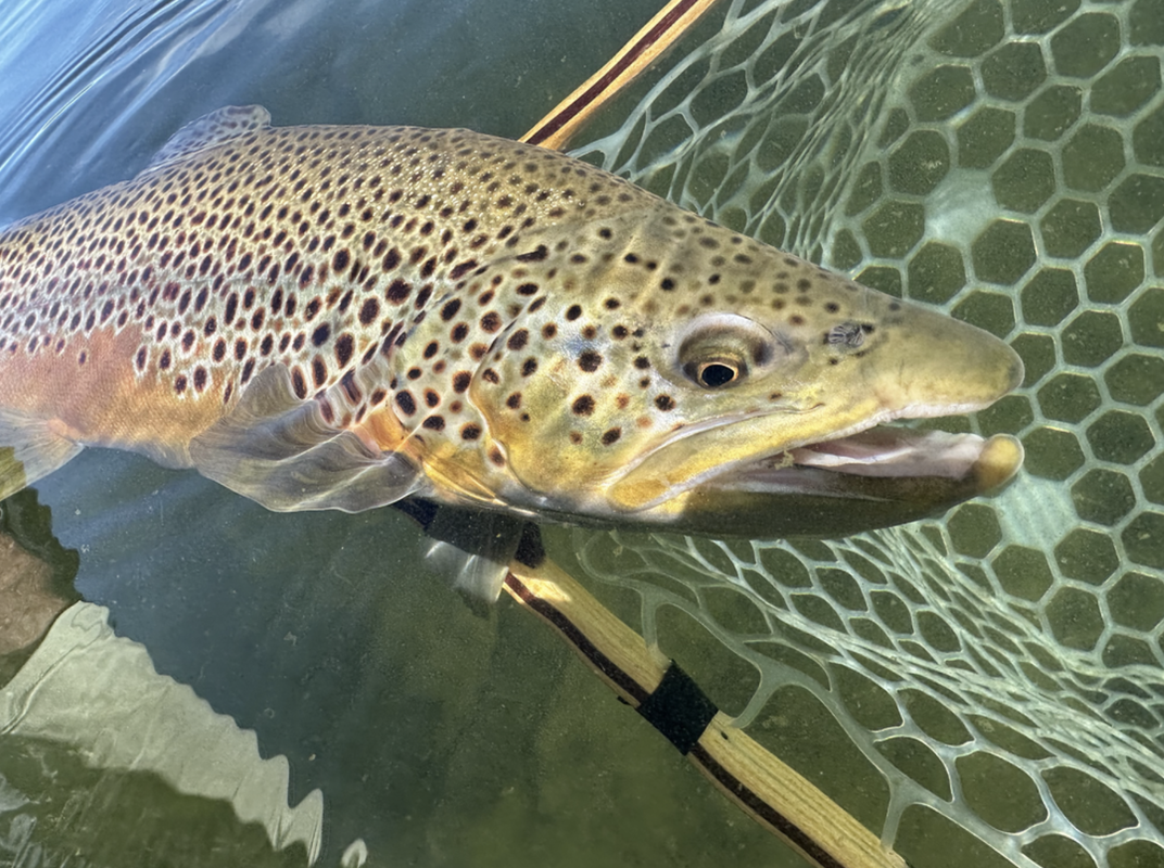 Diamond Lake Trip Full Day
